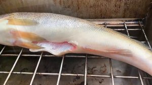 Судак горячего копчения ENG SUB #судак #копчение