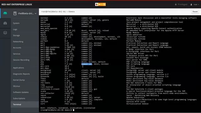 Develop and deploy faster with Red Hat Enterprise Linux | DevNation Tech Talk смотреть онлайн