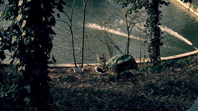 Villa Smeraldi D'Inverno - San Marino Di Bentivoglio BO - 5 Gennaio 2018