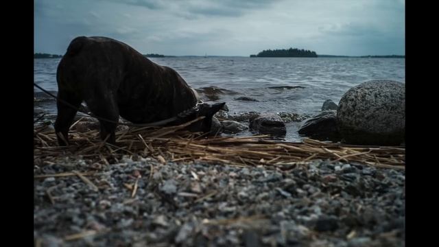 5 Reasons to Buy a Leica M9 Today смотреть онлайн