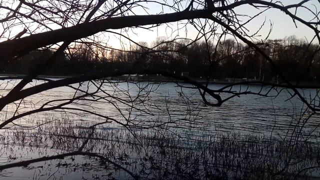 VID 20220504 205917 Счастье (Н. Гумилёв)... Павел Васильев Лахтинский смотреть онлайн