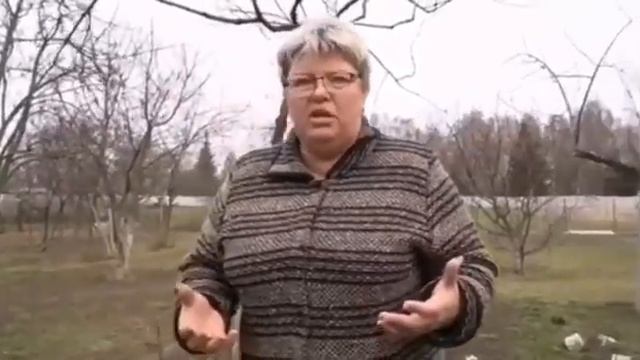 «Ты посмотри, у них все дома кирпичные, в каждом доме есть ноутбук, и жрут нутеллу», смотреть онлайн