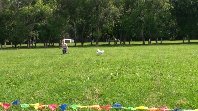 Фризби Фристайл Виктория и Яся Новички смотреть онлайн