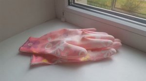 Обработка и дезинфекция курятника вместе с птицей однохлористым йодом