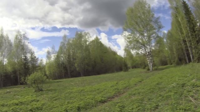 ПОЕЗДКА В ЛЕС НА САМОДЕЛЬНОМ ВЕЗДЕХОДЕ//МЕТАЛЛОКОП смотреть онлайн