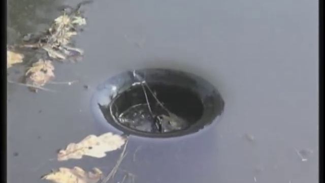Пруд своими руками (создание водоема шаг за шагом) смотреть онлайн