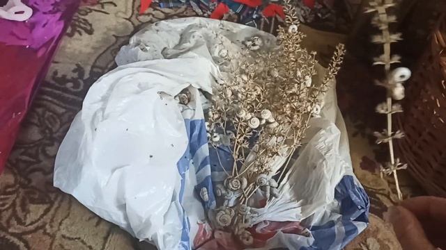 Дары ПРИРОДЫ! ❤?люблю смотреть онлайн