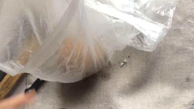 Как открыть кокос в домашних условиях. Самый быстрый и простой способ. смотреть онлайн