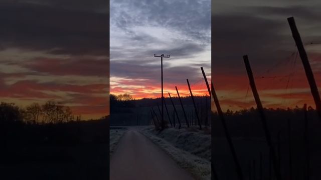 Рассвет в Ингольштадте (Бавария, Германия) | #shorts смотреть онлайн