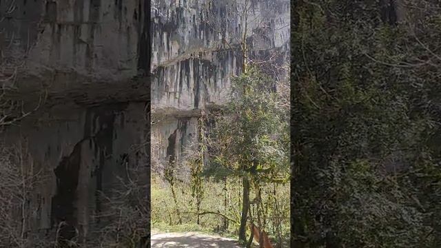 Абхазия, горный привал. 23.04.2022г.