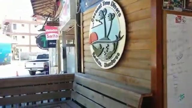 Vue du Coconut Tree Diver à Roatan au Honduras смотреть онлайн