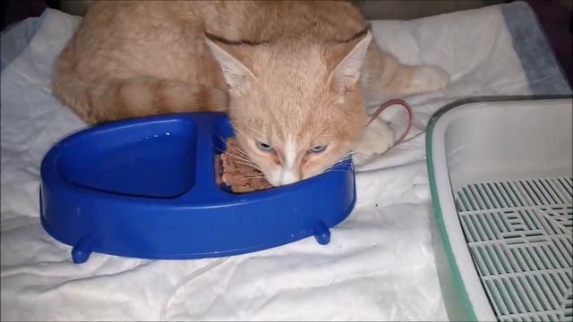 Мы живем с верой, надеждой и любовью. смотреть онлайн