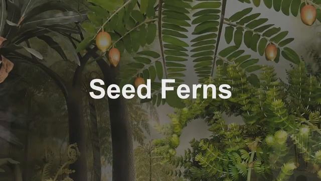 The Greening of the Earth: Plant Evolution and the Fossil Record with Eric Fuselier смотреть онлайн