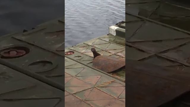 дикая выдра смотреть онлайн