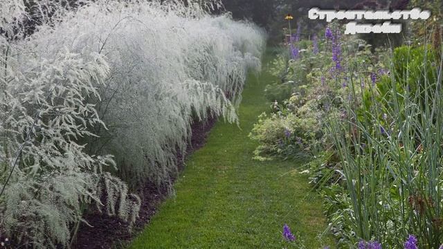 Двор дома. Идеи дизайна смотреть онлайн