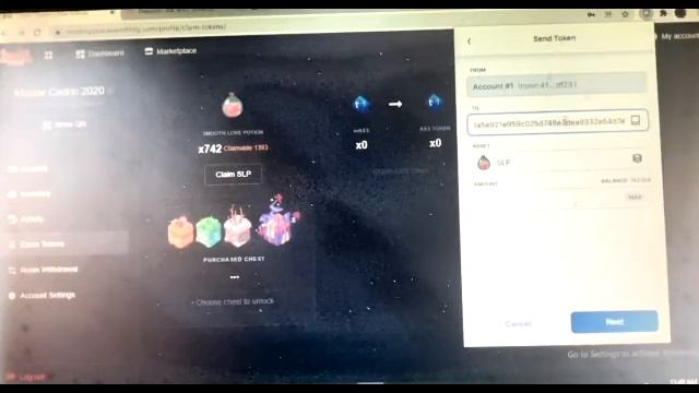 How to Withdraw SLP From Ronin Wallet to Binance. смотреть онлайн