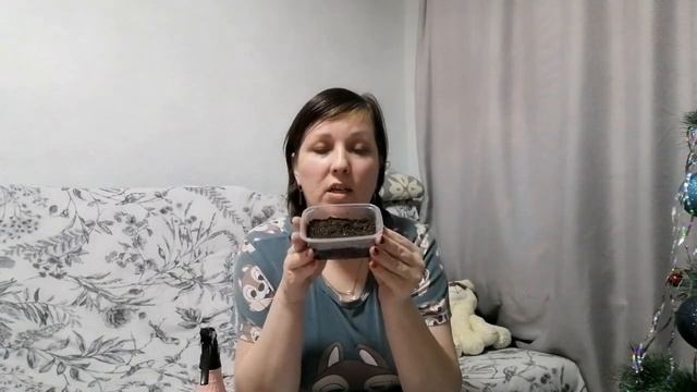 Секреты выращивания петунии из семян. Как вырастить петунию легко и просто, без лишних заморочек. смотреть онлайн