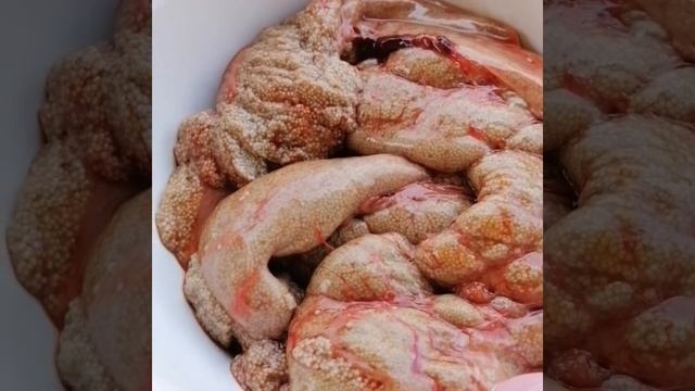 РЫБА НА МАНГАЛЕ//КАК ЧИСТИТЬ РЫБУ смотреть онлайн