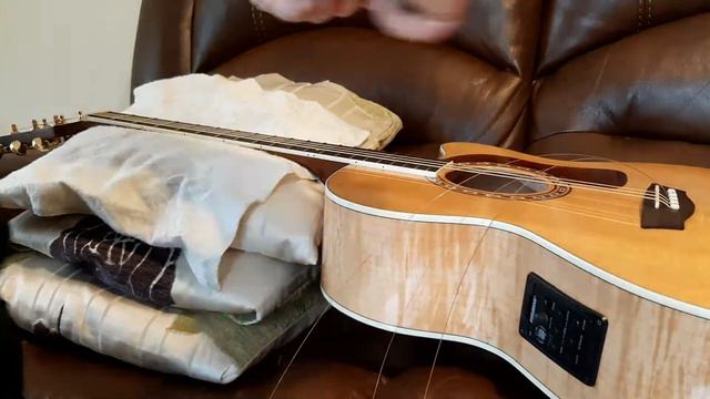 Washburn HJ40SCE Guitar lemon oil treatment and string change timelapse смотреть онлайн