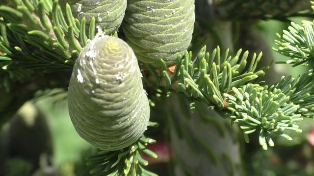 Дизайн Одежды