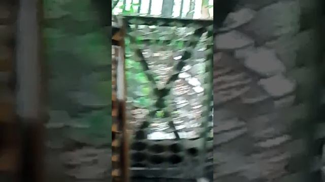 Дерская смотреть онлайн