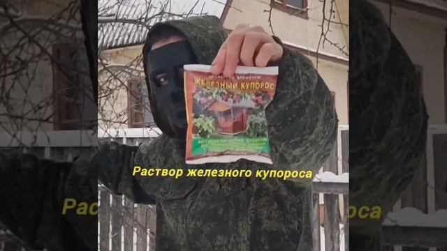 УХОД ЗА ЯБЛОНЯМИ ОСЕНЬЮ смотреть онлайн