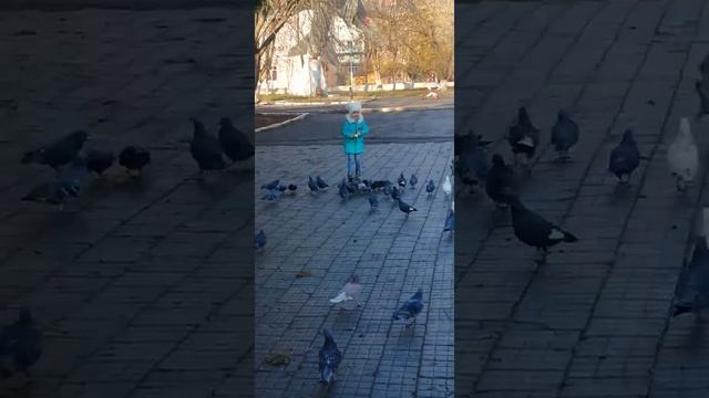 Милана кормит хлебом голубей смотреть онлайн