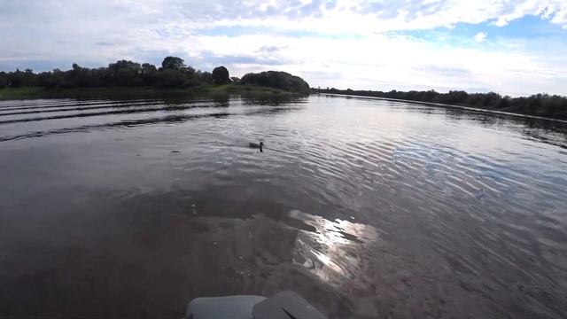 Рыбалка на Сухоне. Лещ на джиг! смотреть онлайн