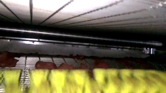 Rutube_account_969056