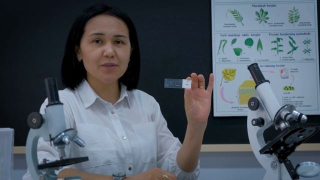 Asia school - Учитель Биология смотреть онлайн