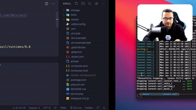 Laravel Sail - Docker without docker knowledge смотреть онлайн