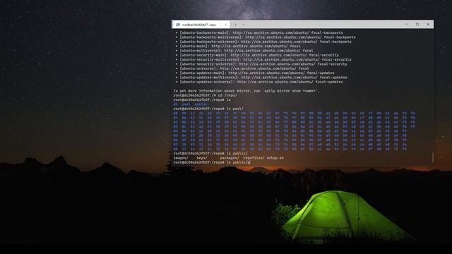 Tuesday Tech Tip - Offline Ubuntu Repositories with Aptly смотреть онлайн