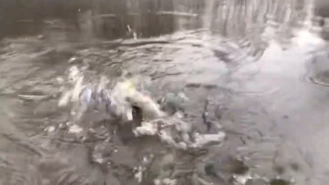 Пехорка. Морозное утро смотреть онлайн