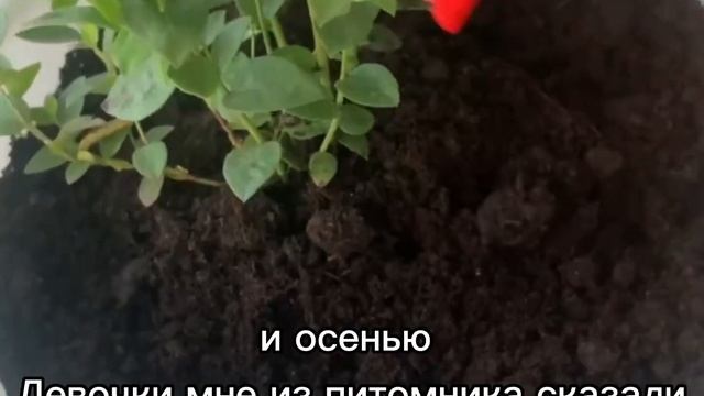 ДомоМастер