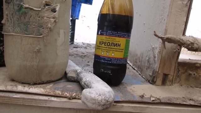 "Перепёлкино" Купание кур и цесарок в креолине смотреть онлайн