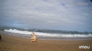 Песняры - Косил Ясь конюшину (1971)