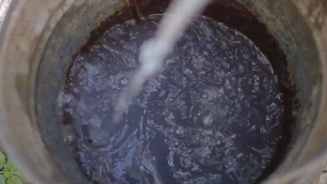 Посадка рассады Как подготовить грядки. Что класть в грядку. Цветы. Подкормка. Клубника. Смородина смотреть онлайн