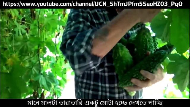 দ্বিগুণ ফসল ফলাতে চান ? | Mark PH-7 | ph7 | Agriculture | Day Mark Crop Care смотреть онлайн