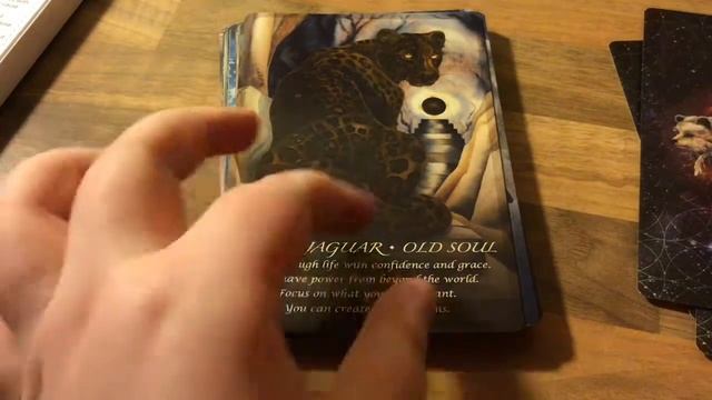 ?Spirit of the Animal Oracle by Jody Bergsma ? flip through смотреть онлайн