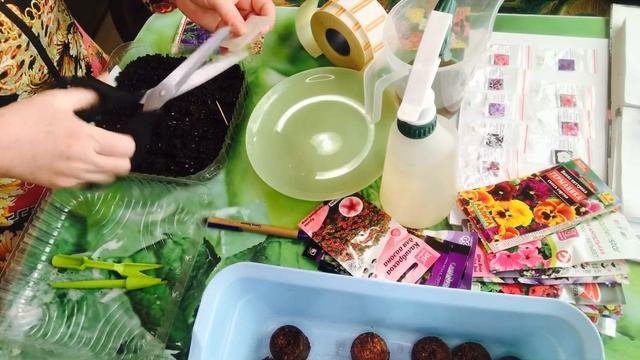 Сеем цветы : ПЕТУНИЯ , КАЛИБРАХОА , КОЛЕУСЫ ! Посев в грунт и кокосовые таблетки!#посеввянваре#цвет смотреть онлайн