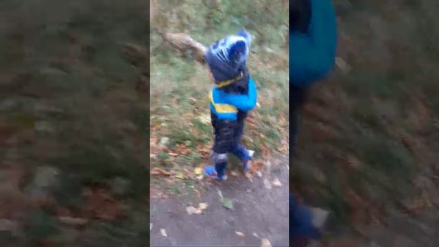 Учебник по Таланту и Творчеству