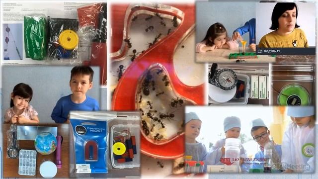 ЭЛТИ-КУДИЦ-Урал.Секция 16.04.2020 смотреть онлайн