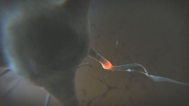 Excess - Cortex Sous-vide (2011) demoscene PC demo 1440p60 смотреть онлайн