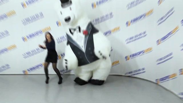 Меховой надувной костюм Белый Медведь, Панда, Хаски смотреть онлайн