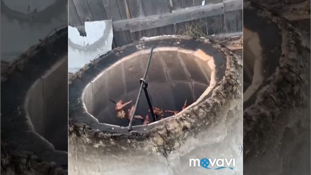 Куриные крылышки в ТАНДЫРЕ смотреть онлайн