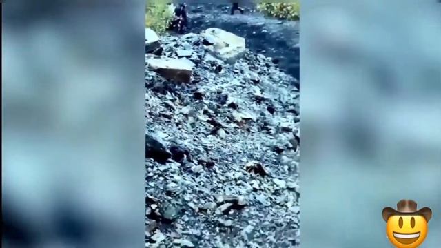 Дураки на квадроциклах 2 смотреть онлайн