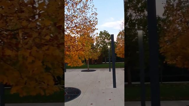 Парк Галицкого Краснодар. 24.10.2023г смотреть онлайн