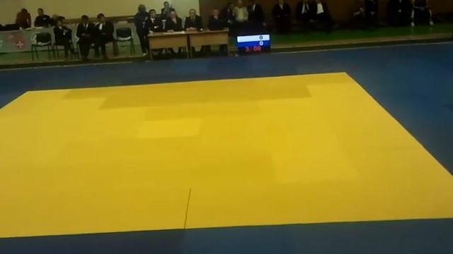 Всеукраинский турнир дзюдо. Луцк. 29.11.13 смотреть онлайн