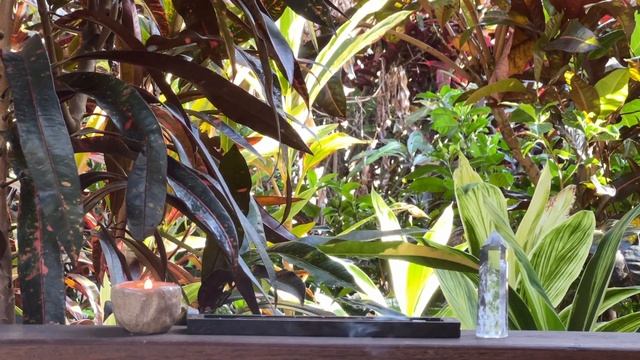 МОЩНАЯ МЕДИТАЦИЯ: "Твой Прекрасный День" [21 минута] смотреть онлайн