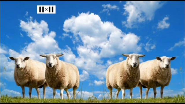 Летние заставки 2x2 (2023) смотреть онлайн